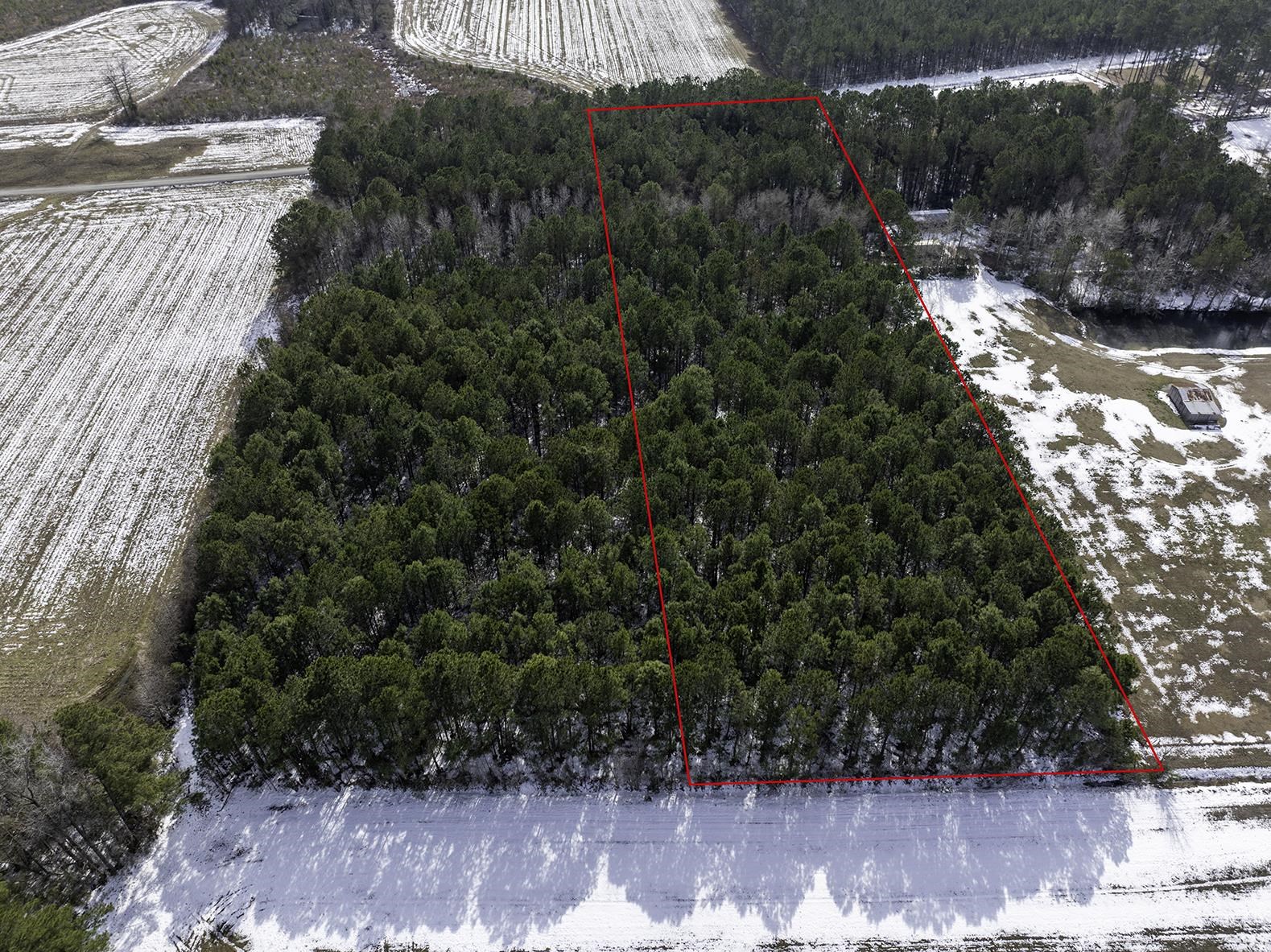 Tbd Carroll Todd Road Conway, SC 29526 - Photo 4 of 7