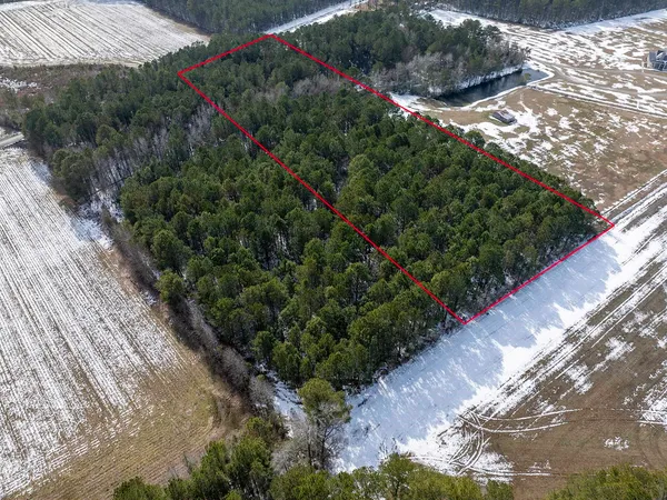 $168,000 | Tbd Carroll Todd Road, Conway, SC 29526