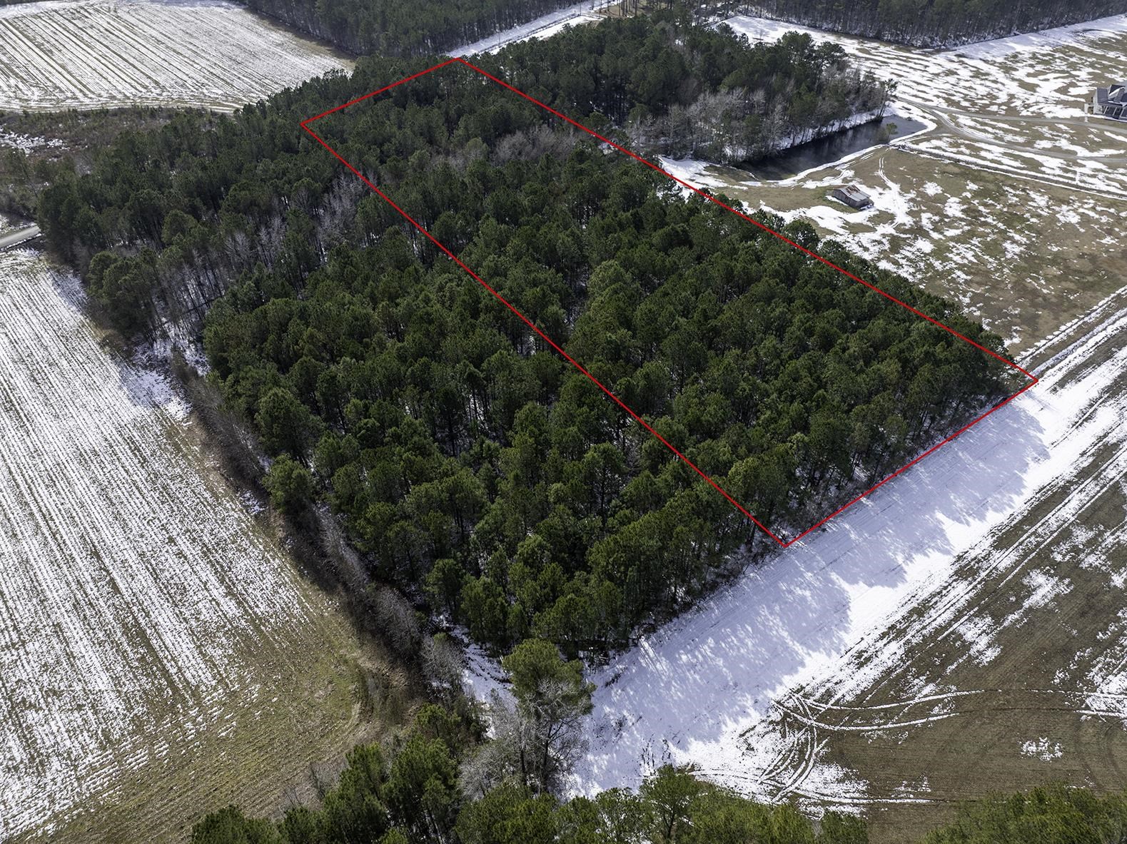 Tbd Carroll Todd Road Conway, SC 29526 - Photo 5 of 7