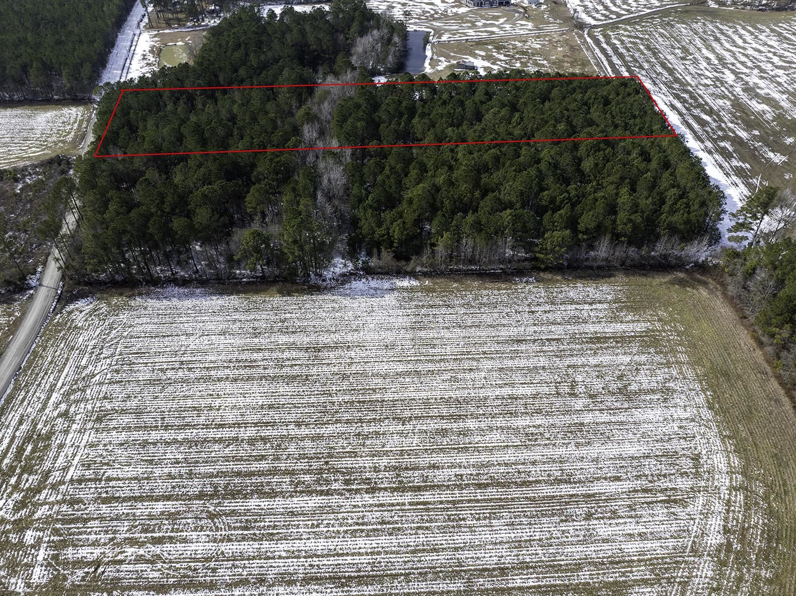 Tbd Carroll Todd Road Conway, SC 29526 - Photo 6 of 7