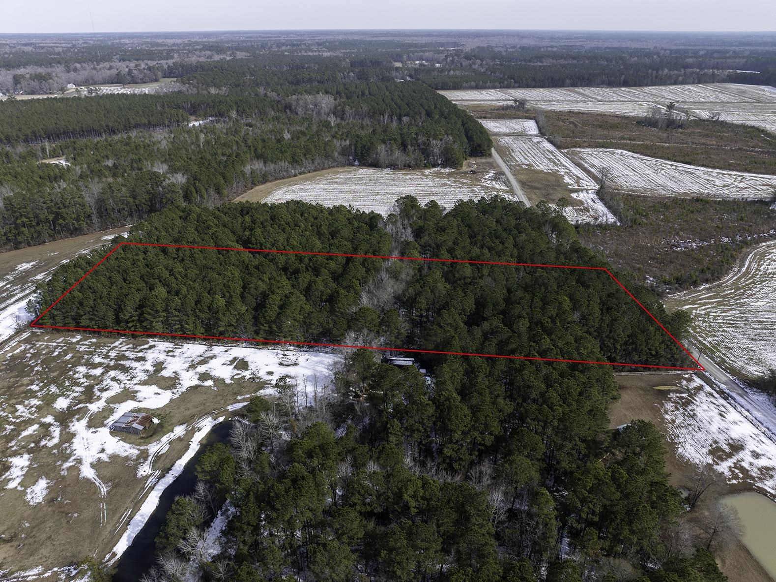 Tbd Carroll Todd Road Conway, SC 29526 - Photo 7 of 7