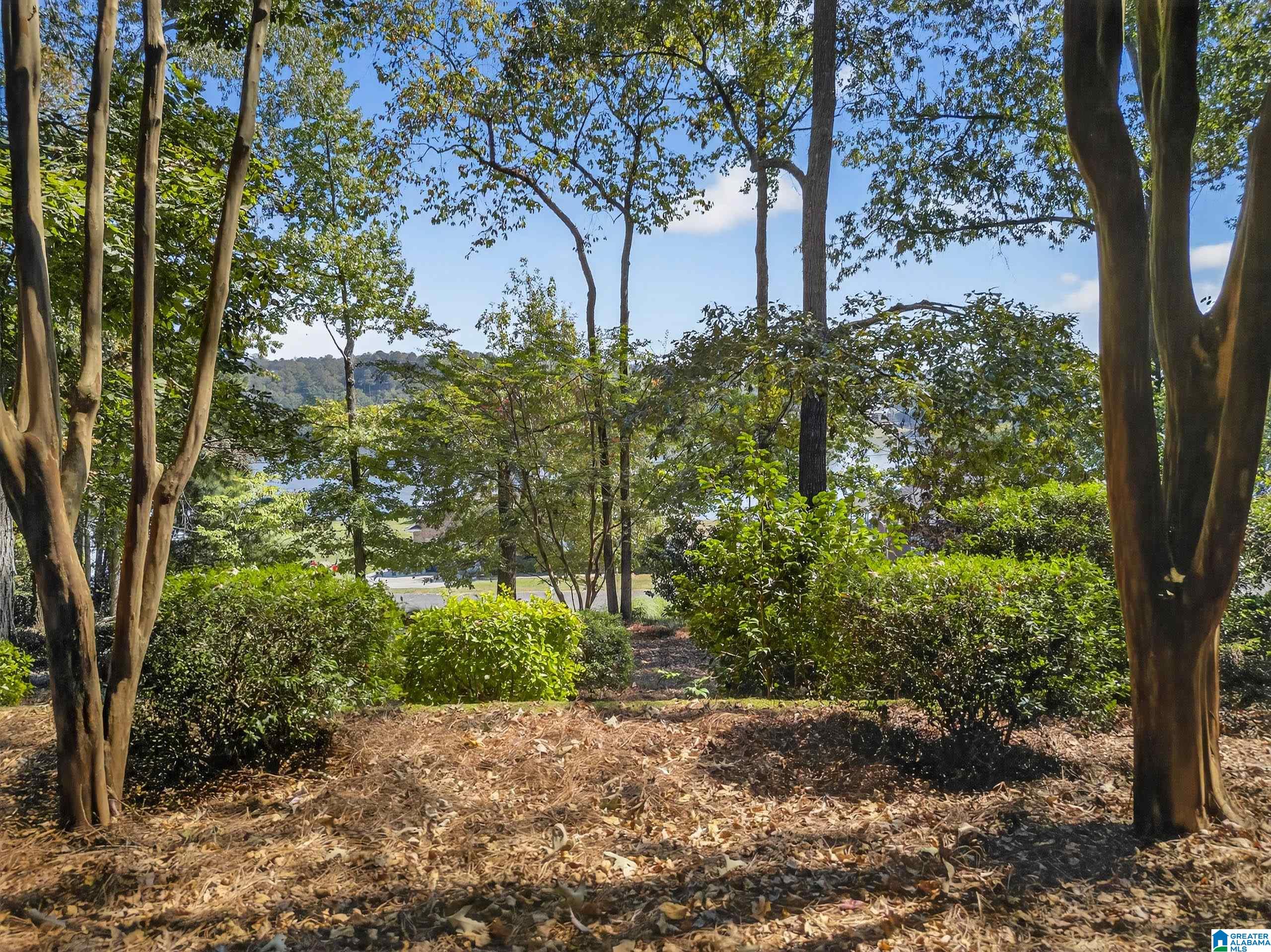 1105 Lock 4 Road Riverside, AL 35135 - Photo 10 of 53