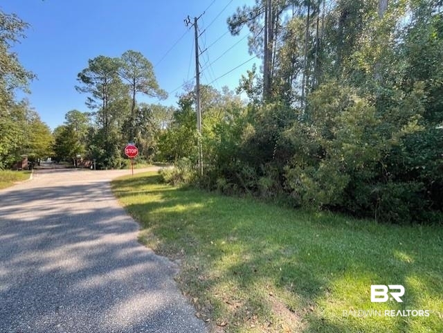 8897 County Road 12 Foley, AL 36535 - Photo 2 of 4 View of road