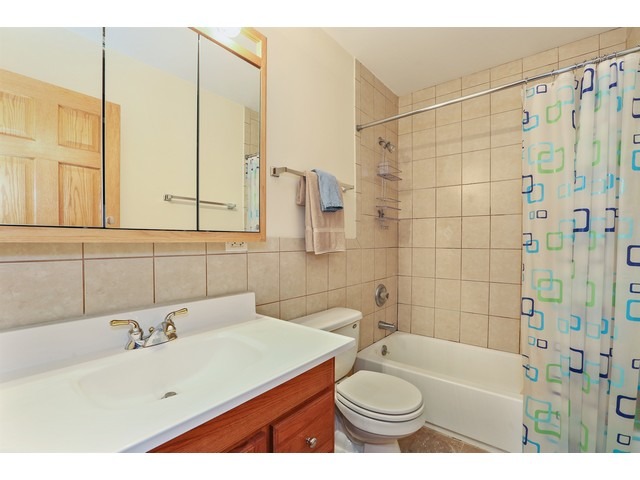 313 Elgin Avenue, Unit 201 Forest Park, IL 60130 - Photo 11 of 11