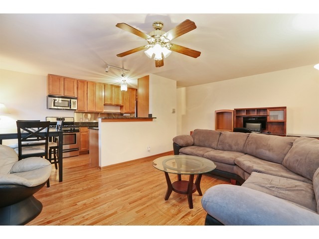 313 Elgin Avenue, Unit 201 Forest Park, IL 60130 - Photo 4 of 11