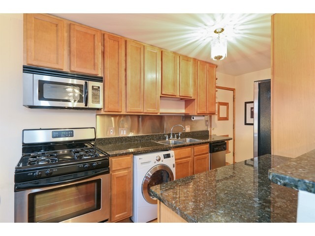 313 Elgin Avenue, Unit 201 Forest Park, IL 60130 - Photo 6 of 11