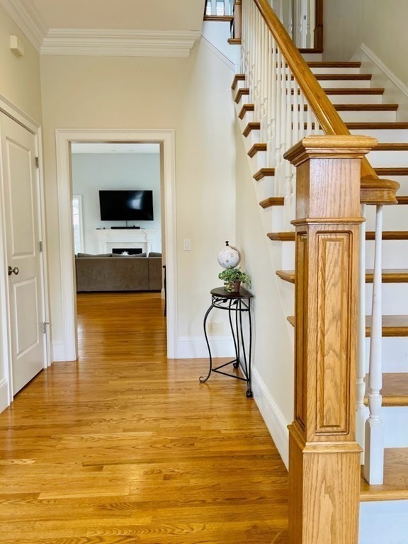 6 Chadbourne Road Lexington, MA 02421 - Photo 5 of 42