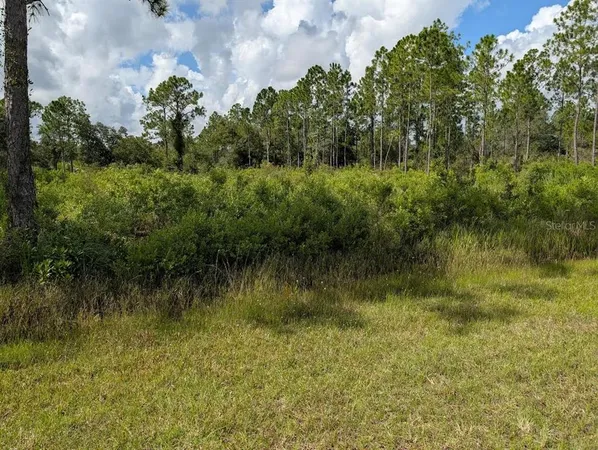 a view of a lake from a yard