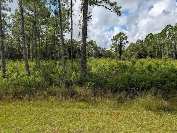 a view of a bunch of flowers and trees