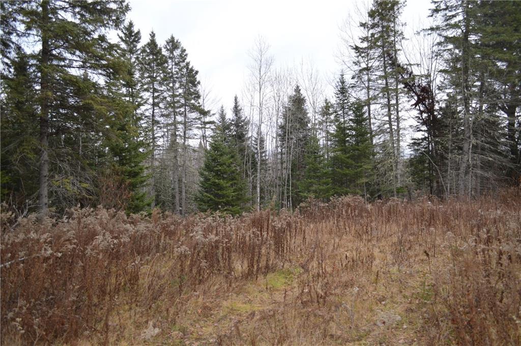 On Ferry Road Wytopitlock, ME 04497 - Photo 3 of 16 Land