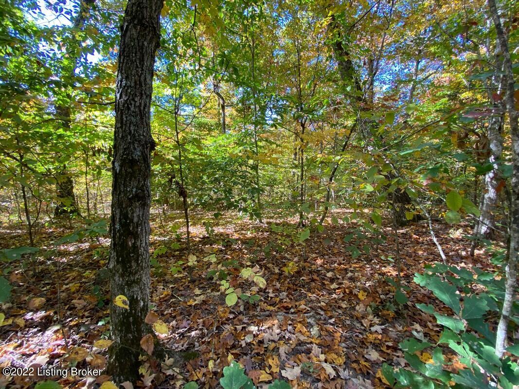 L9 Ted Logsdon Road Clarkson, KY 42726 - Photo 8 of 11 River View 101322287