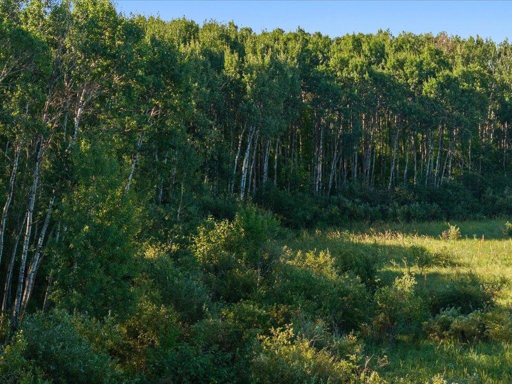 Tbd Meadowview Road Pierz, MN 56364 - Photo 20 of 30 Gallery Image 20
