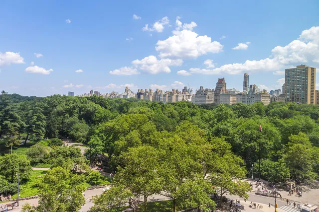 a view of a city with lush green forest