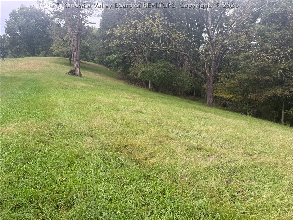 7438 Stone Lick Road Gay, WV 25244 - Photo 9 of 14 Gallery Image 9