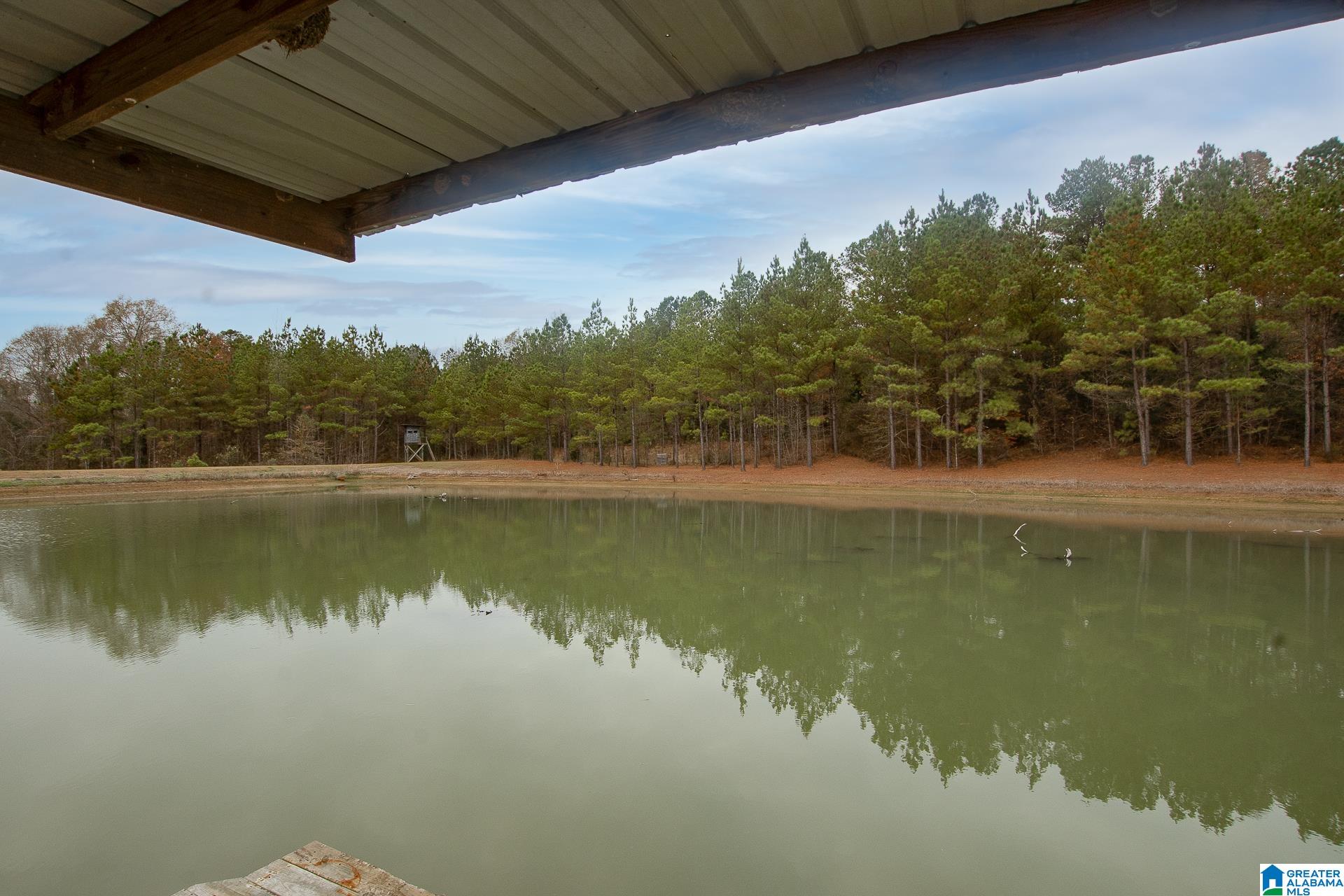 1444 Thrasher Road Sawyerville, AL 36776 - Photo 34 of 47