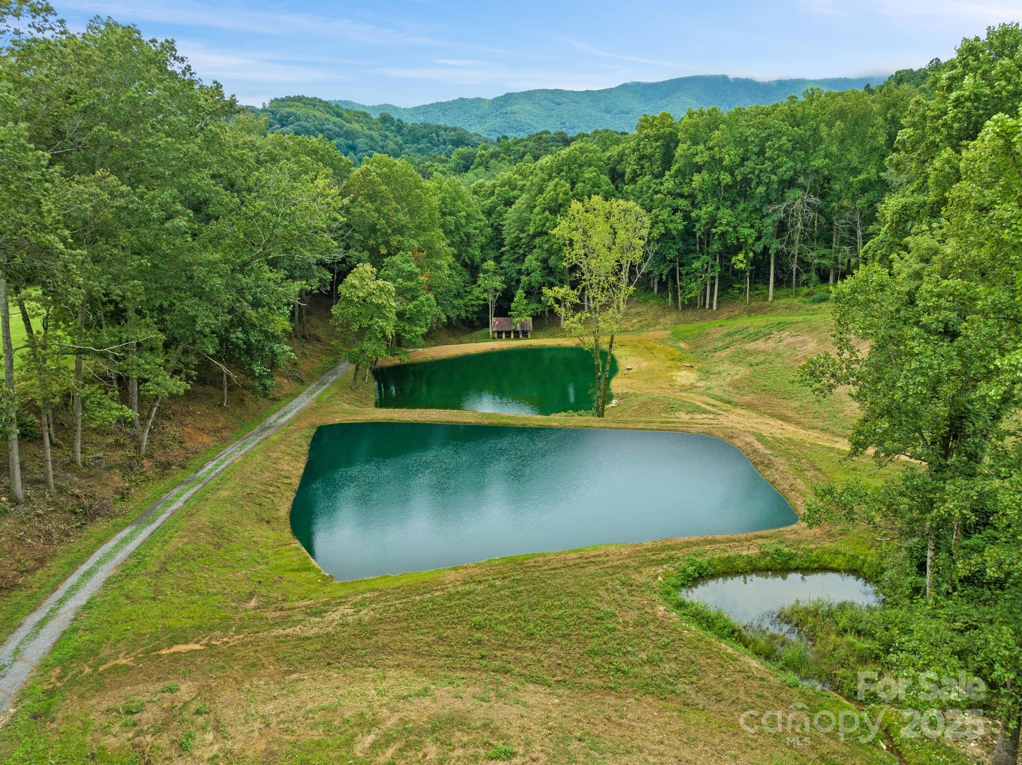 272 Owl Ridge Road Waynesville, NC 28786 - Photo 1 of 33 Gallery Image 1