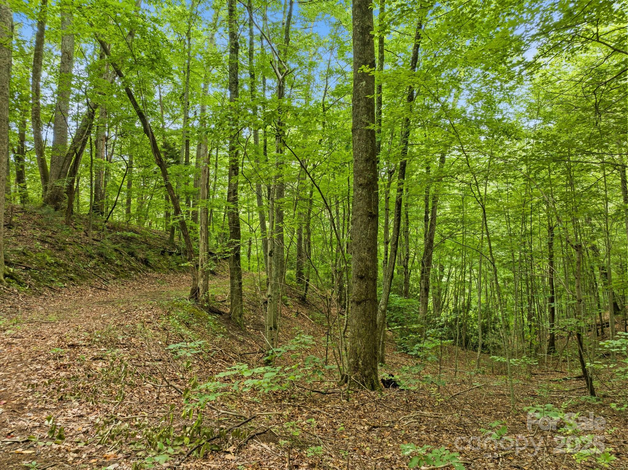 272 Owl Ridge Road Waynesville, NC 28786 - Photo 25 of 33 Gallery Image 25