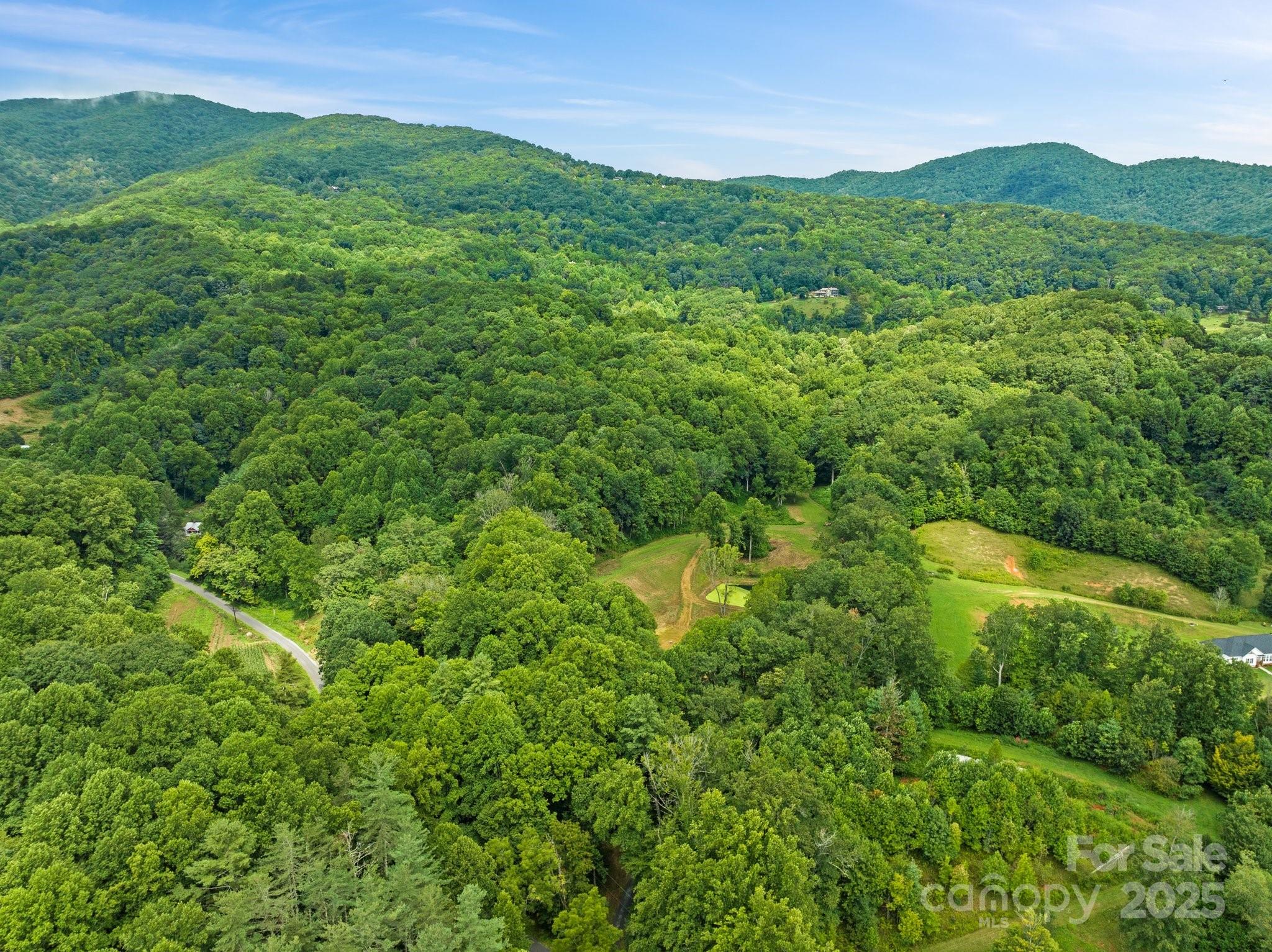 272 Owl Ridge Road Waynesville, NC 28786 - Photo 3 of 33 Gallery Image 3