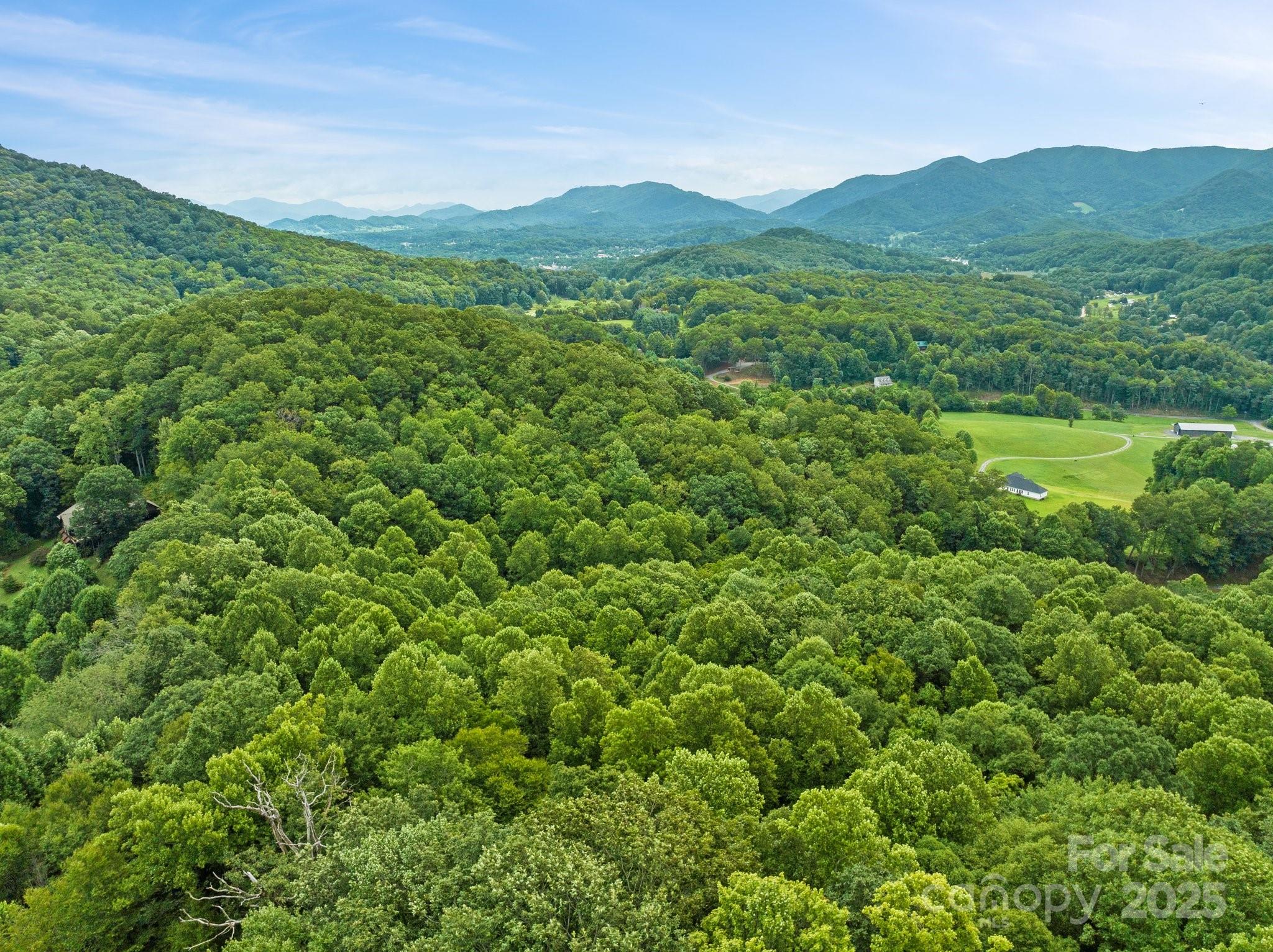 272 Owl Ridge Road Waynesville, NC 28786 - Photo 8 of 33 Gallery Image 8