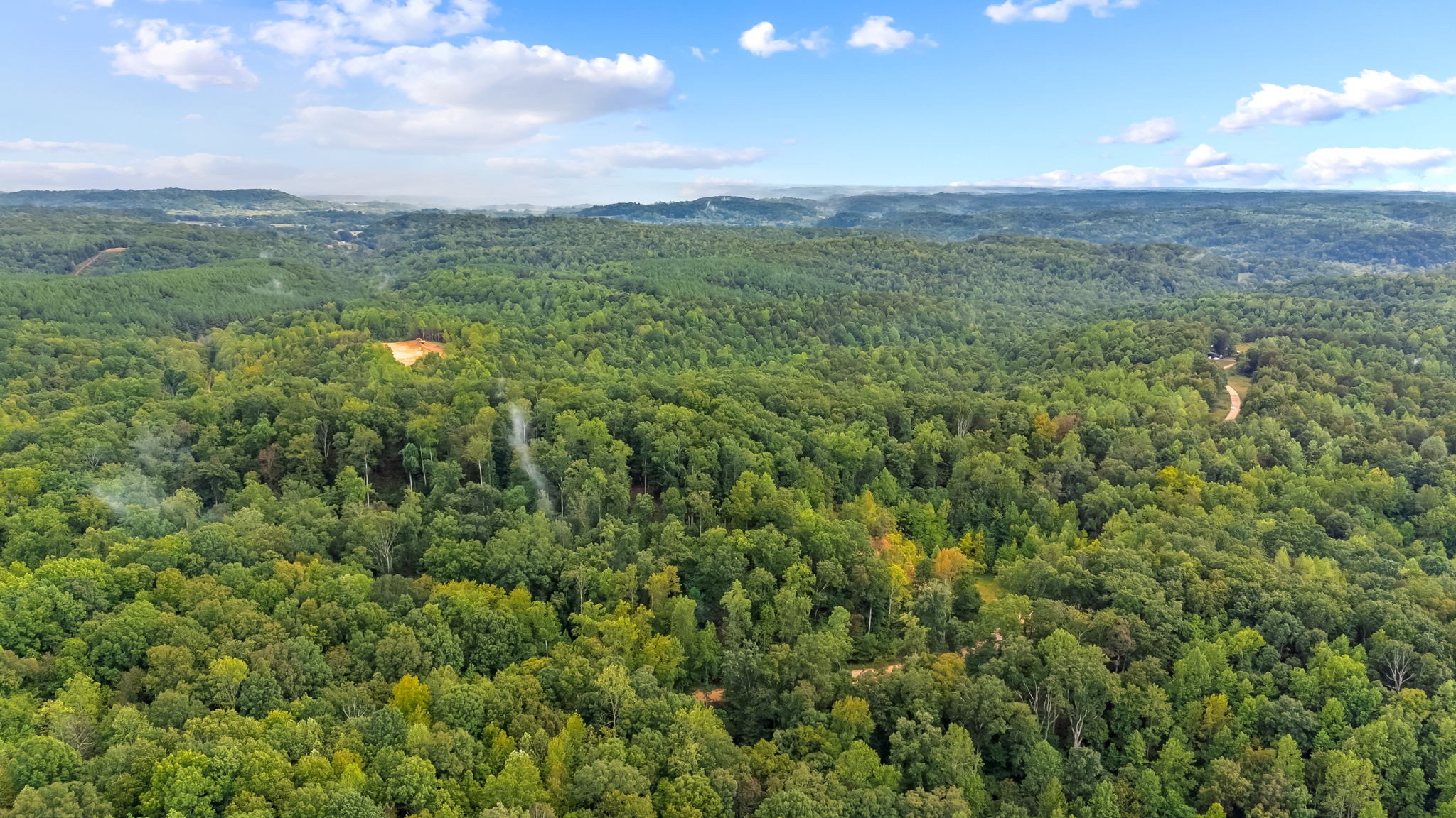 0 Baptist Branch Road East Mount Pleasant, TN 38474 - Photo 11 of 38