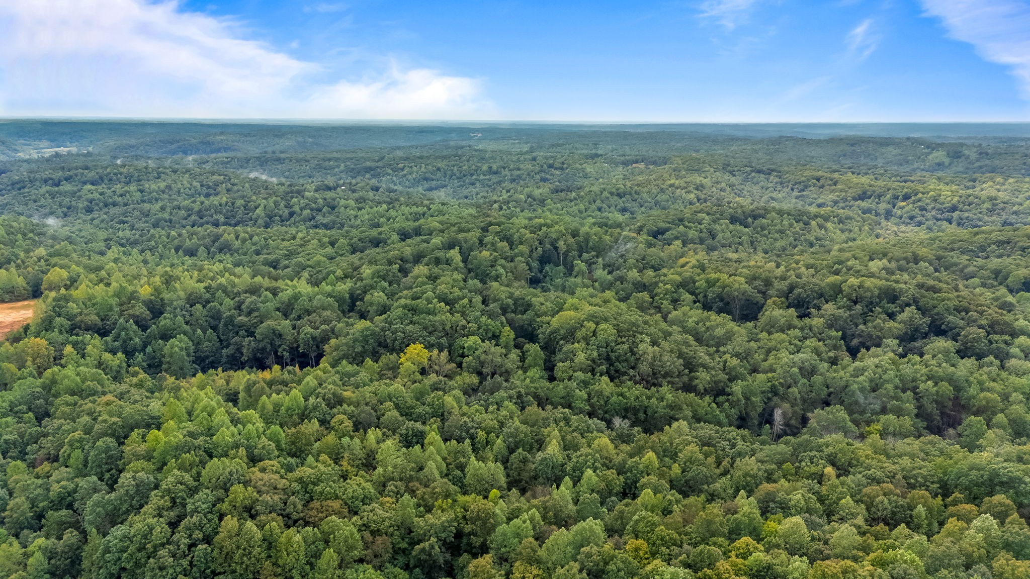 0 Baptist Branch Road East Mount Pleasant, TN 38474 - Photo 14 of 38