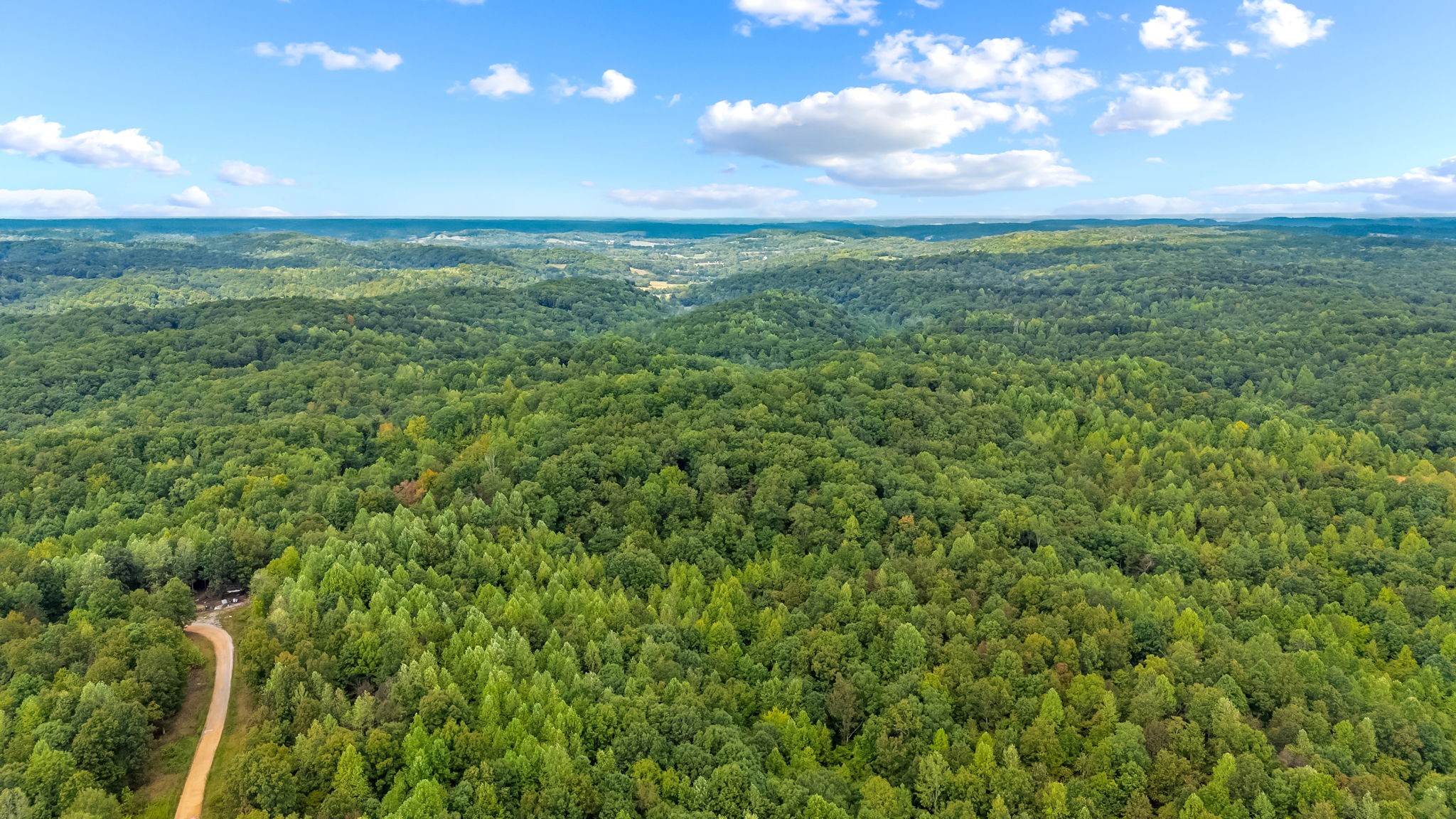 0 Baptist Branch Road East Mount Pleasant, TN 38474 - Photo 16 of 38