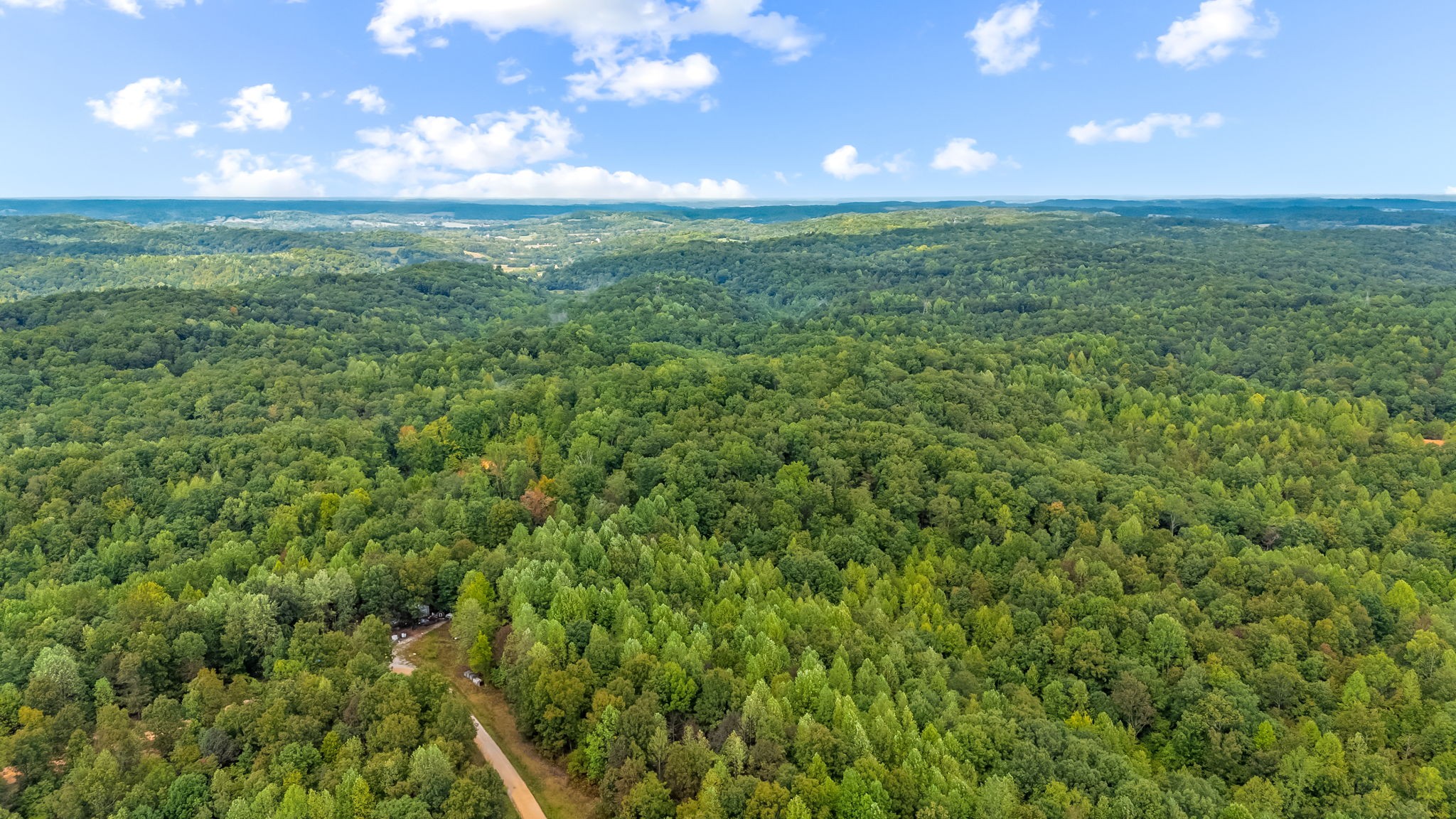 0 Baptist Branch Road East Mount Pleasant, TN 38474 - Photo 17 of 38