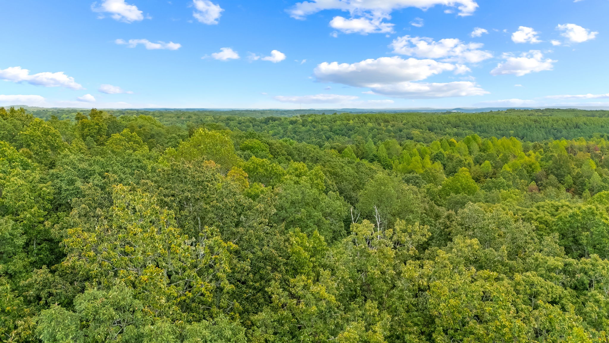 0 Baptist Branch Road East Mount Pleasant, TN 38474 - Photo 20 of 38