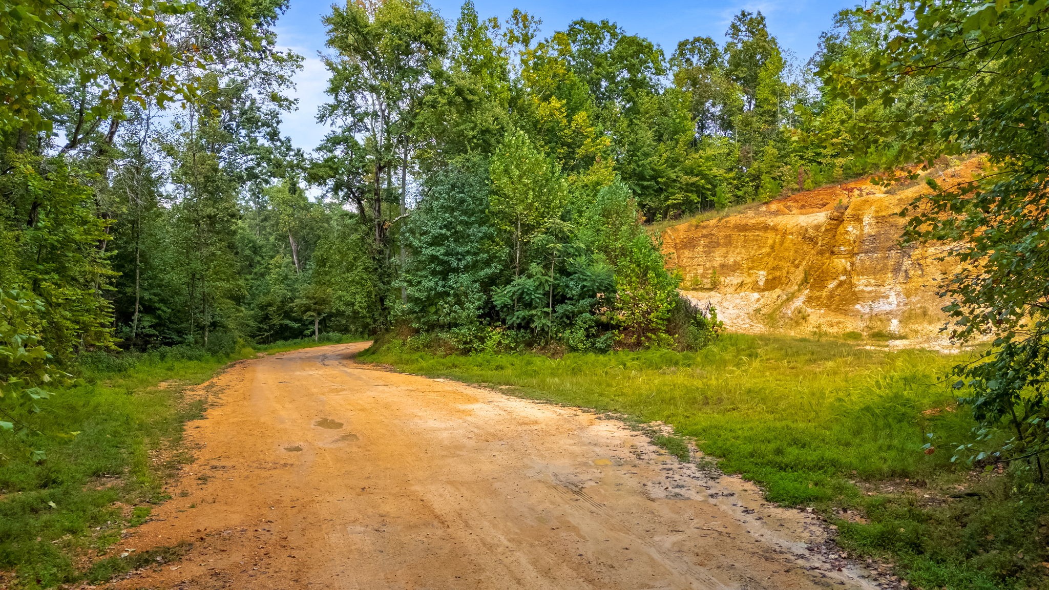 0 Baptist Branch Road East Mount Pleasant, TN 38474 - Photo 2 of 38