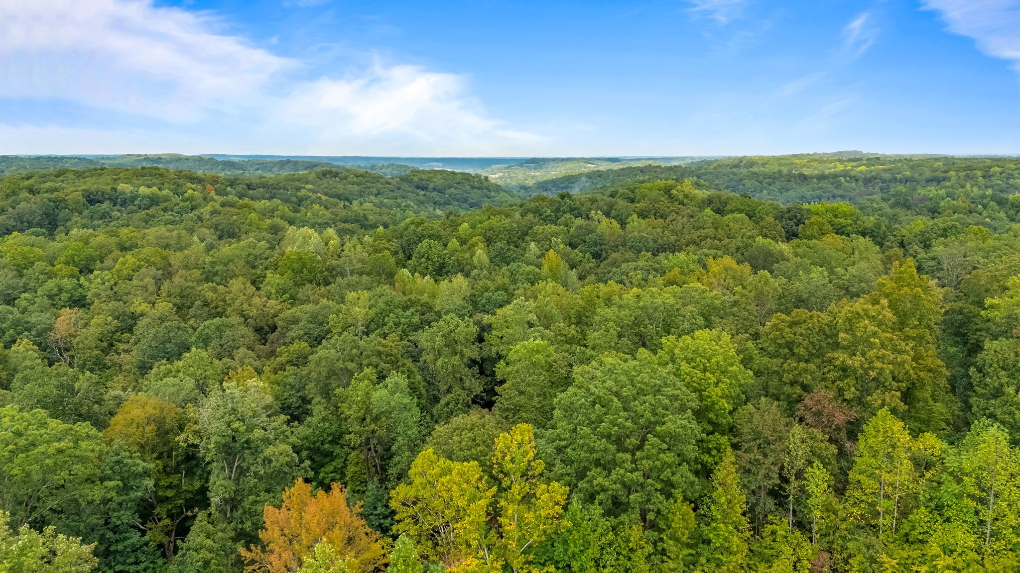 0 Baptist Branch Road East Mount Pleasant, TN 38474 - Photo 22 of 38