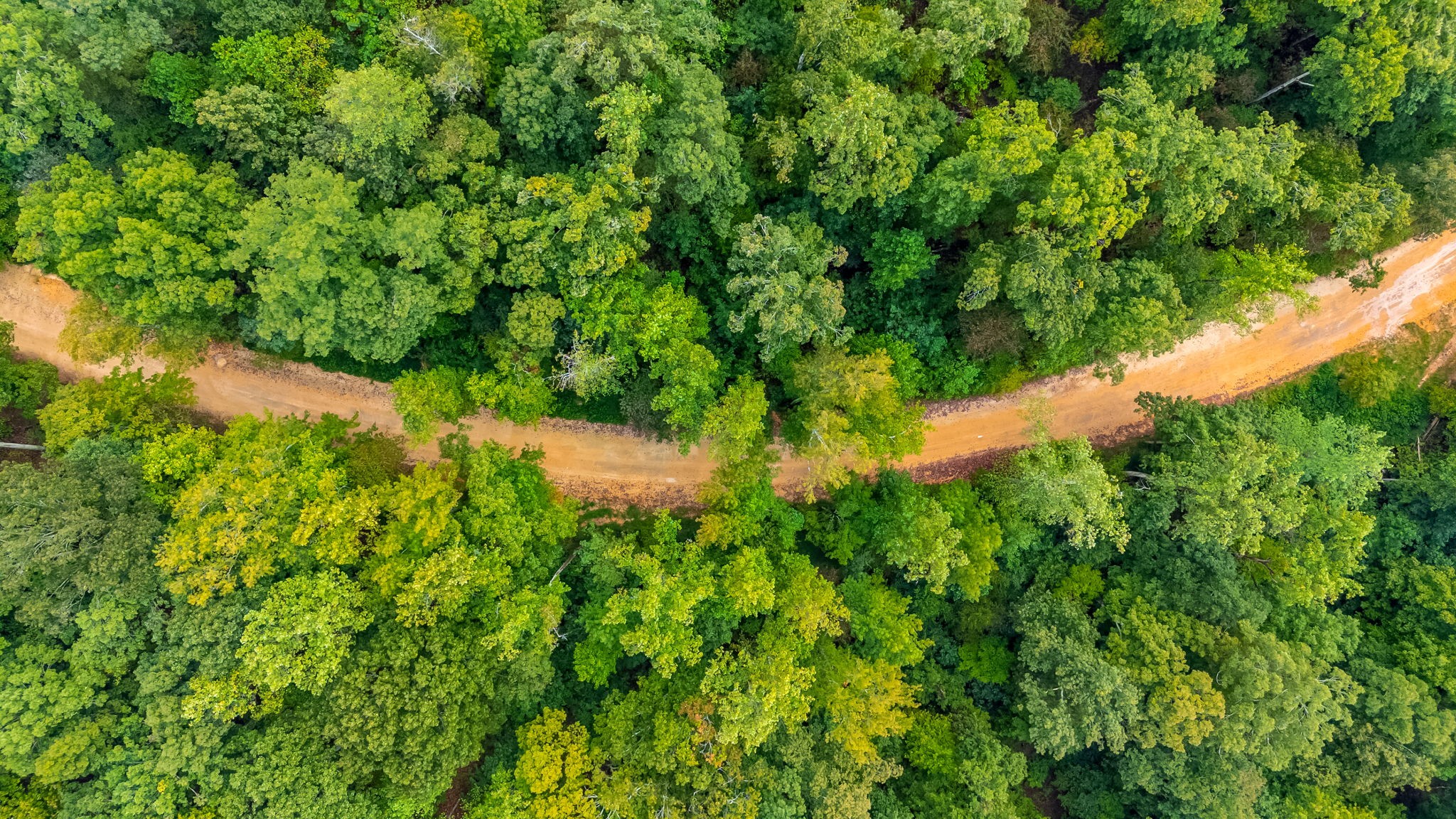 0 Baptist Branch Road East Mount Pleasant, TN 38474 - Photo 23 of 38