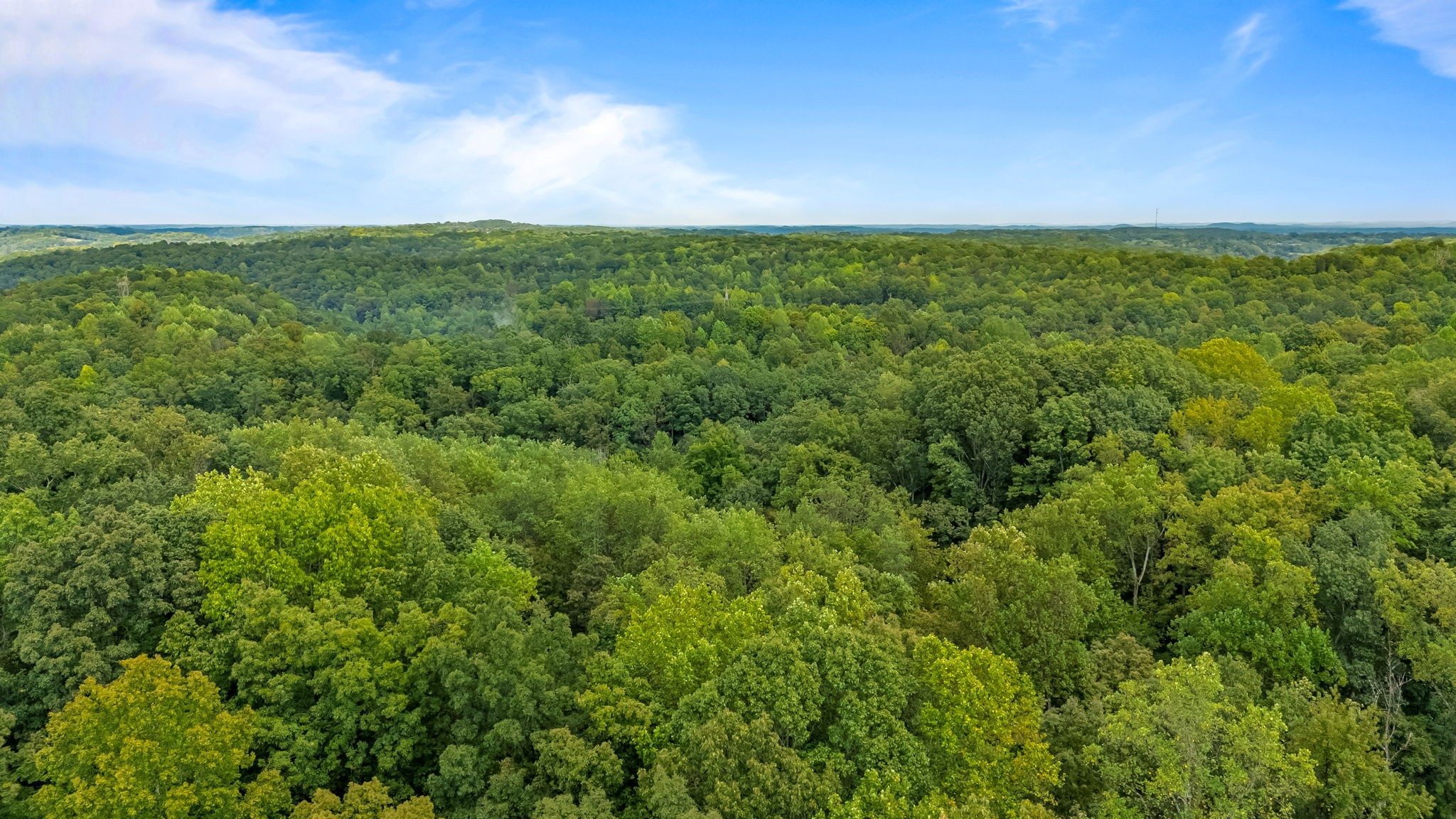 0 Baptist Branch Road East Mount Pleasant, TN 38474 - Photo 24 of 38