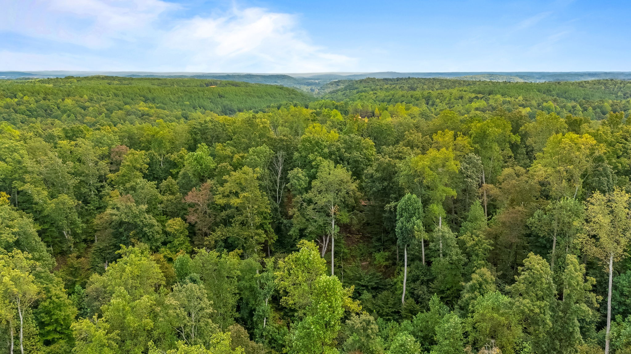 0 Baptist Branch Road East Mount Pleasant, TN 38474 - Photo 25 of 38