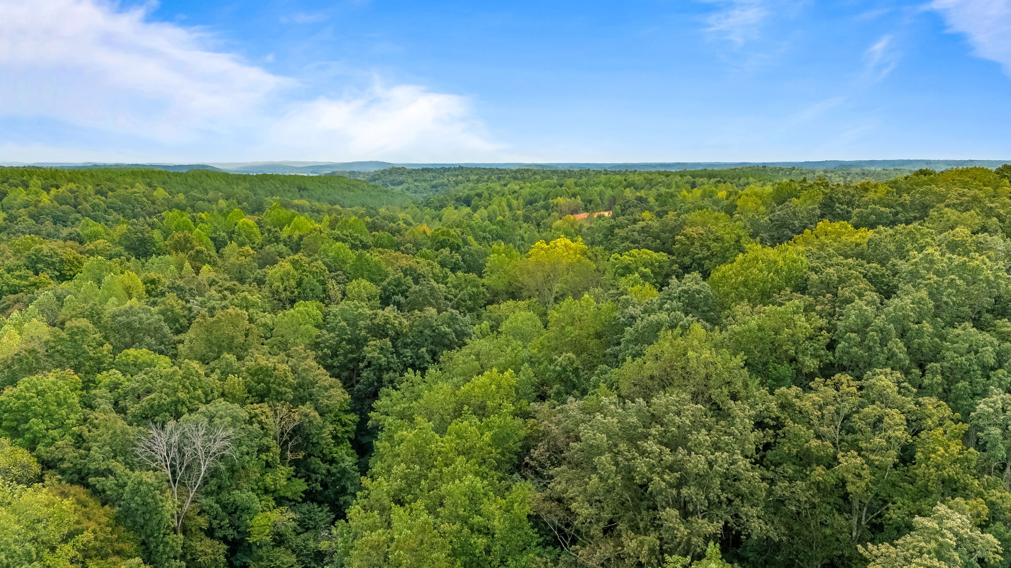 0 Baptist Branch Road East Mount Pleasant, TN 38474 - Photo 27 of 38