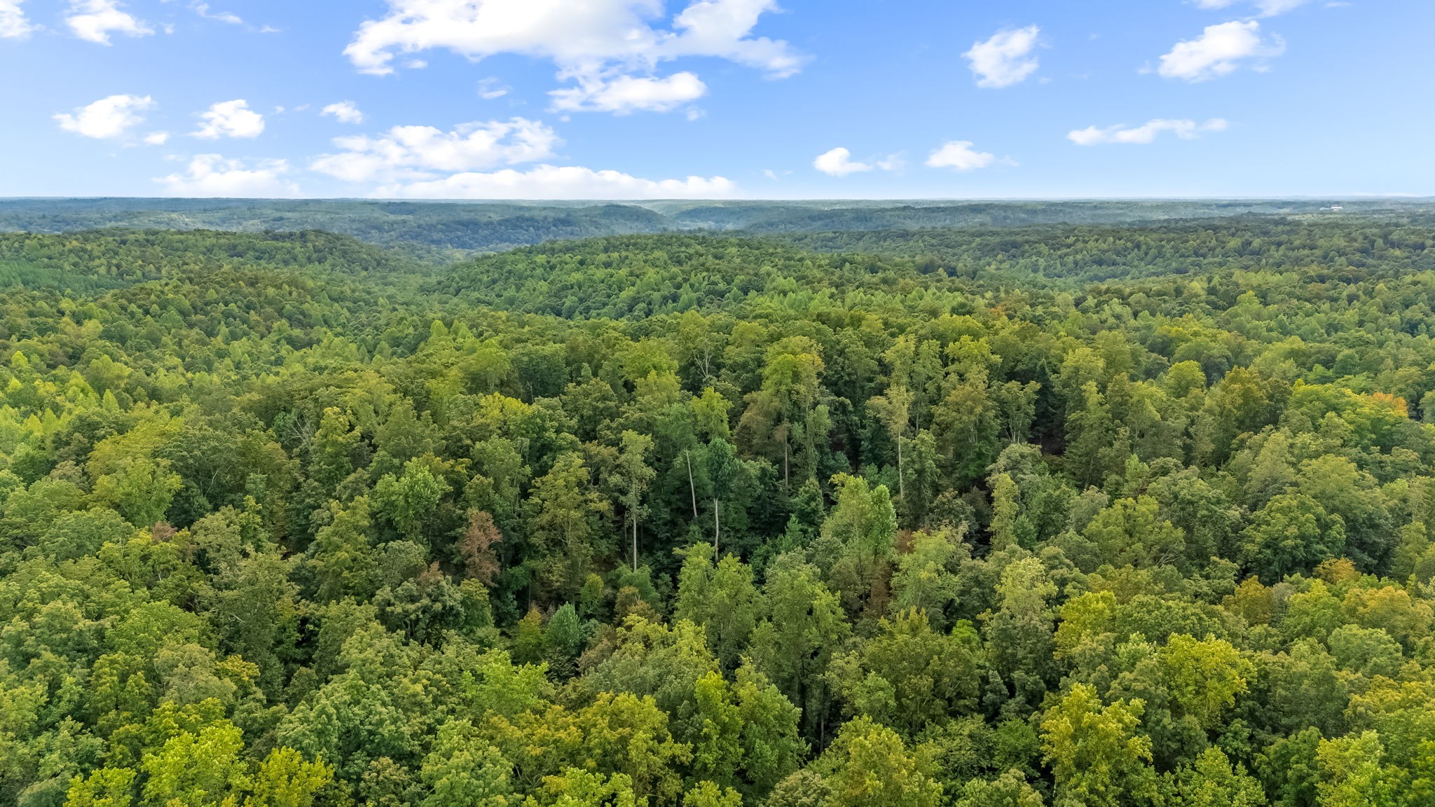 0 Baptist Branch Road East Mount Pleasant, TN 38474 - Photo 28 of 38