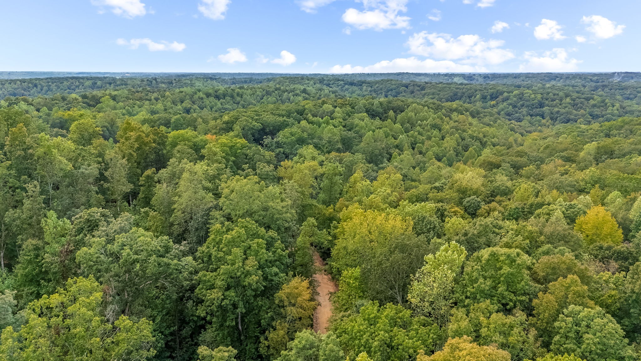 0 Baptist Branch Road East Mount Pleasant, TN 38474 - Photo 29 of 38