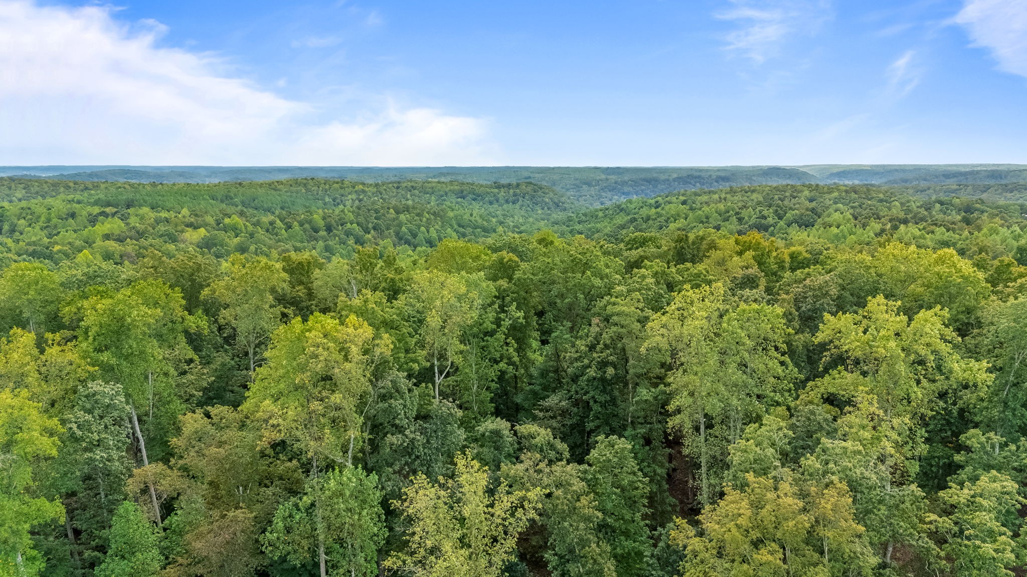 0 Baptist Branch Road East Mount Pleasant, TN 38474 - Photo 30 of 38