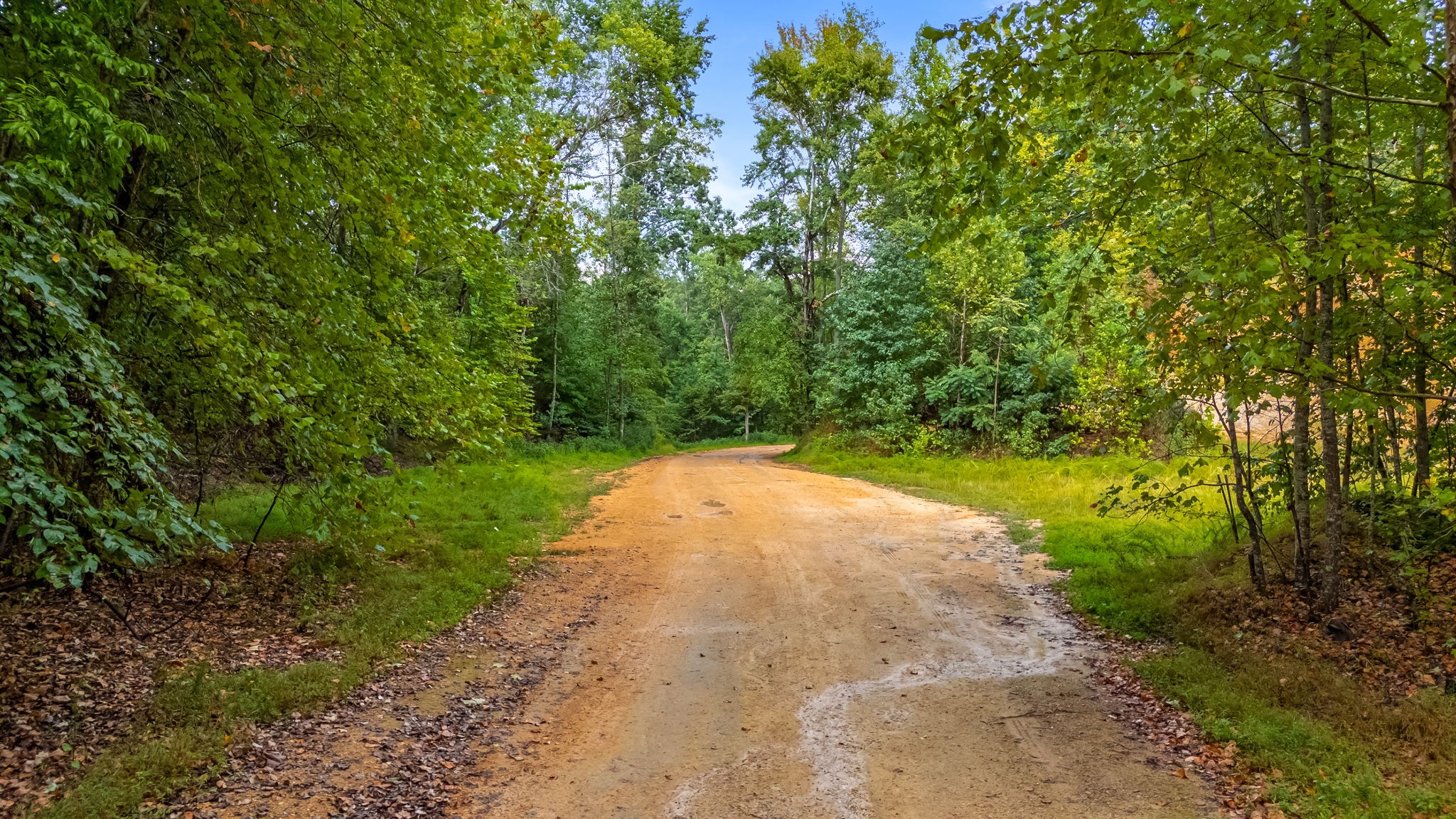 0 Baptist Branch Road East Mount Pleasant, TN 38474 - Photo 3 of 38