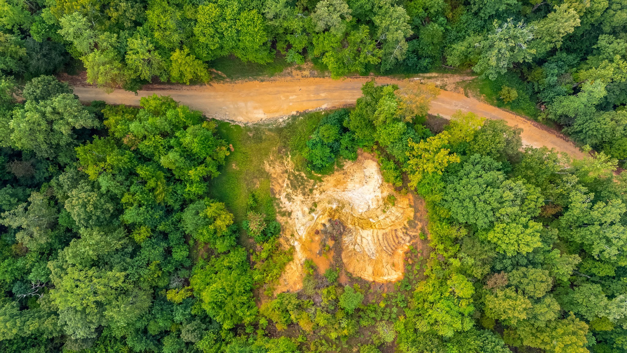 0 Baptist Branch Road East Mount Pleasant, TN 38474 - Photo 33 of 38