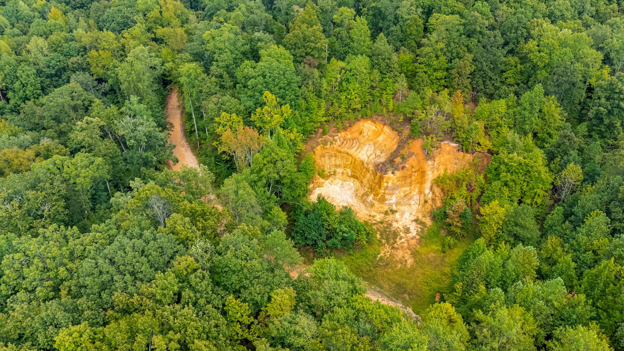 0 Baptist Branch Road East Mount Pleasant, TN 38474 - Photo 35 of 38