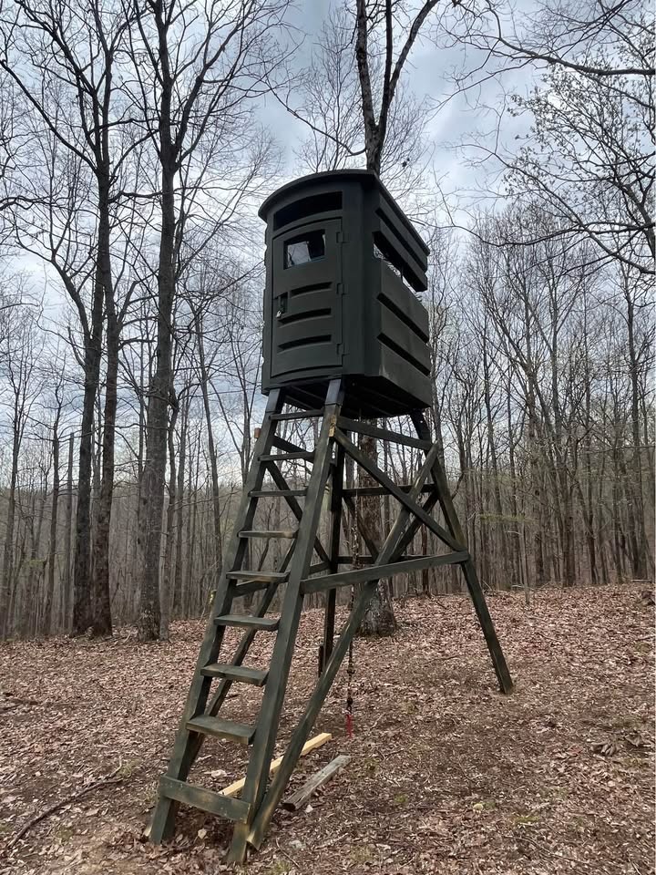 0 Baptist Branch Road East Mount Pleasant, TN 38474 - Photo 37 of 38