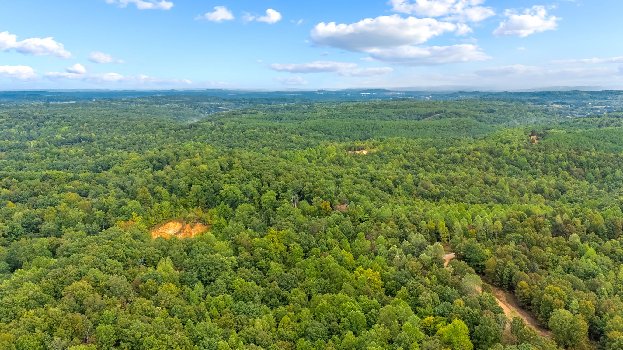 0 Baptist Branch Road East Mount Pleasant, TN 38474 - Photo 4 of 38