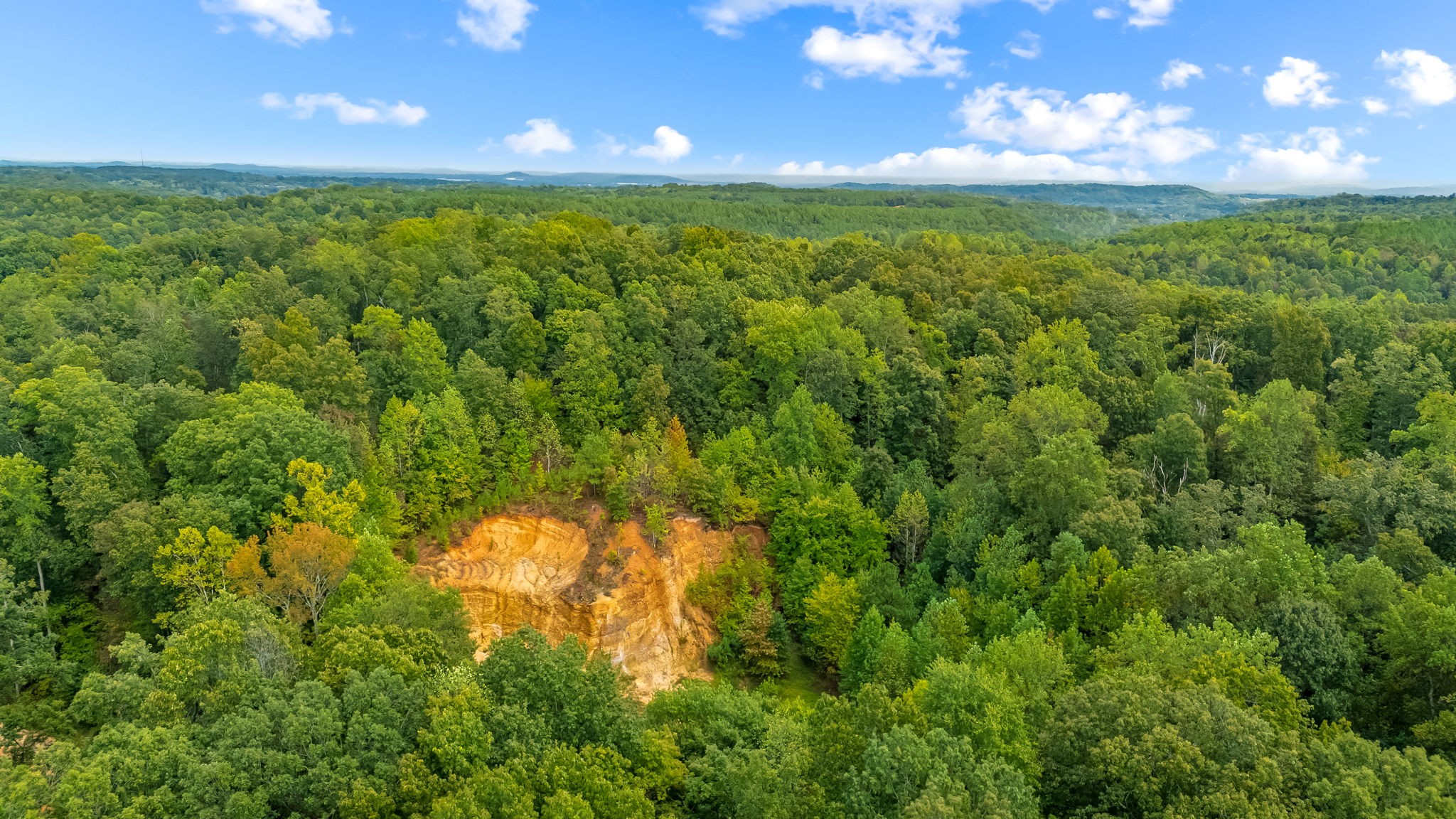 0 Baptist Branch Road East Mount Pleasant, TN 38474 - Photo 5 of 38