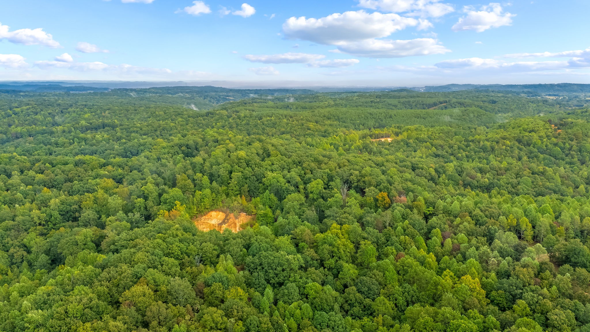 0 Baptist Branch Road East Mount Pleasant, TN 38474 - Photo 8 of 38