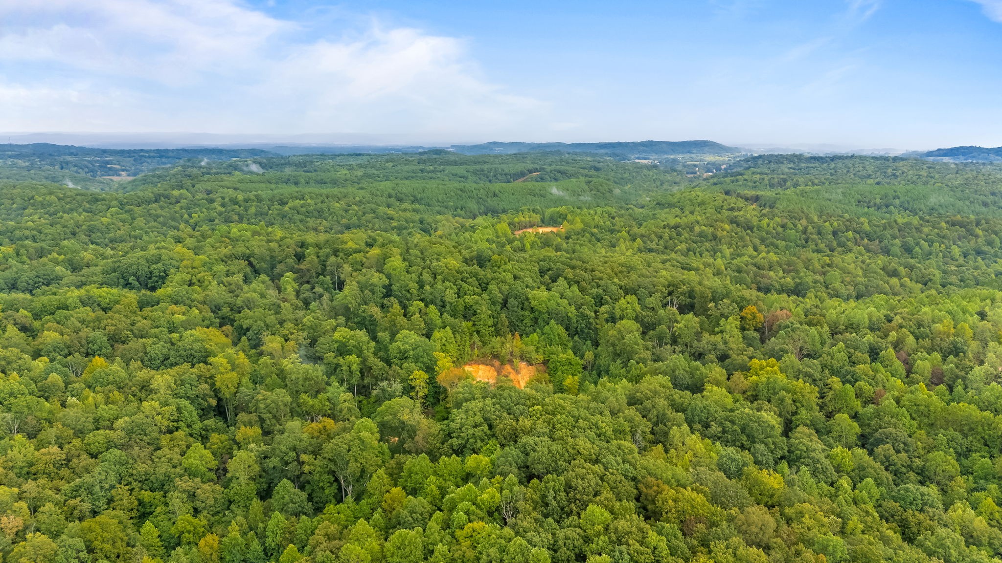 0 Baptist Branch Road East Mount Pleasant, TN 38474 - Photo 9 of 38