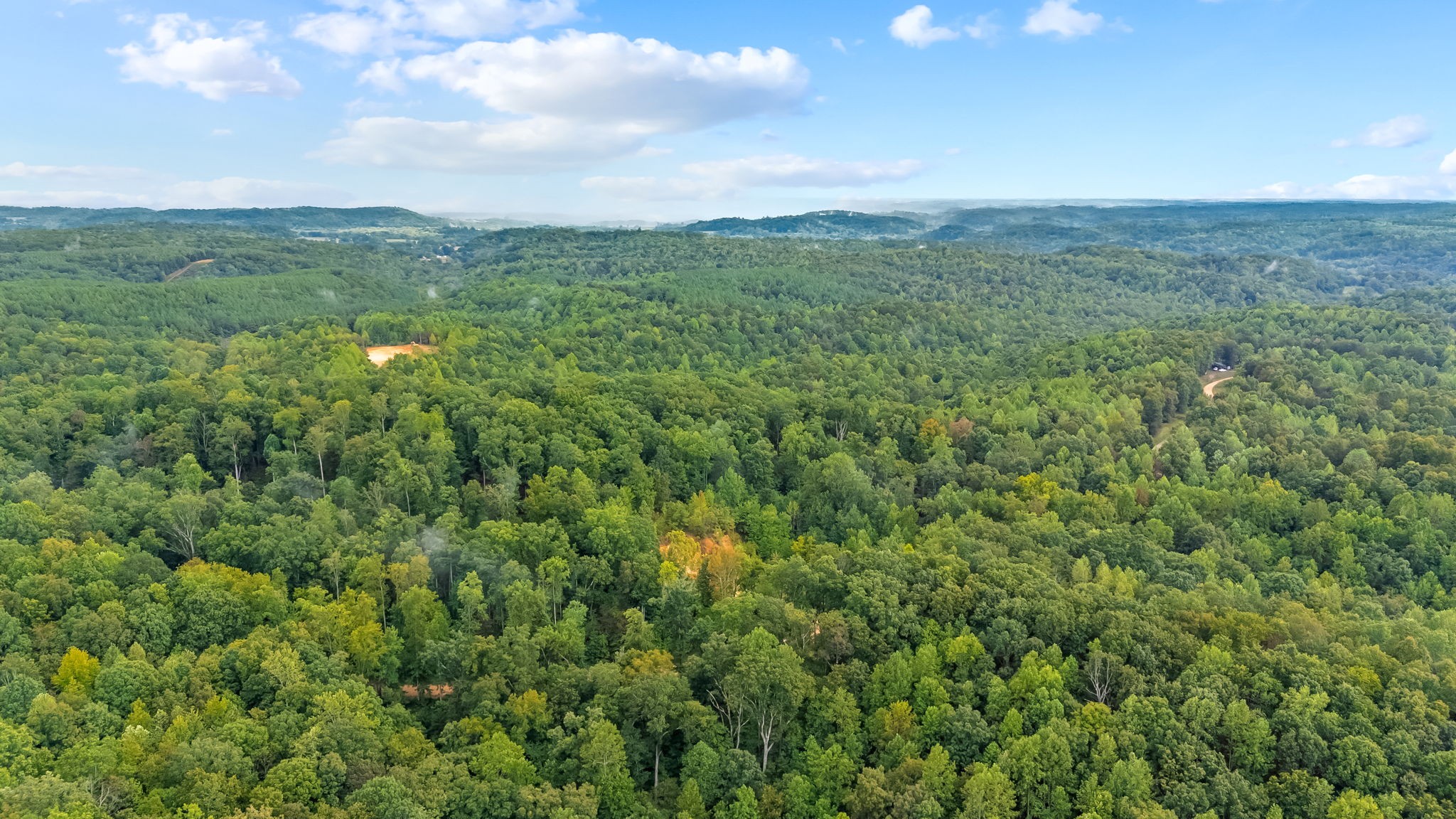 0 Baptist Branch Road East Mount Pleasant, TN 38474 - Photo 10 of 38