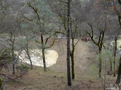 28425 Eel River Ranch Road Covelo, CA 95428 - Photo 1 of 1 a view of a yard with a tree