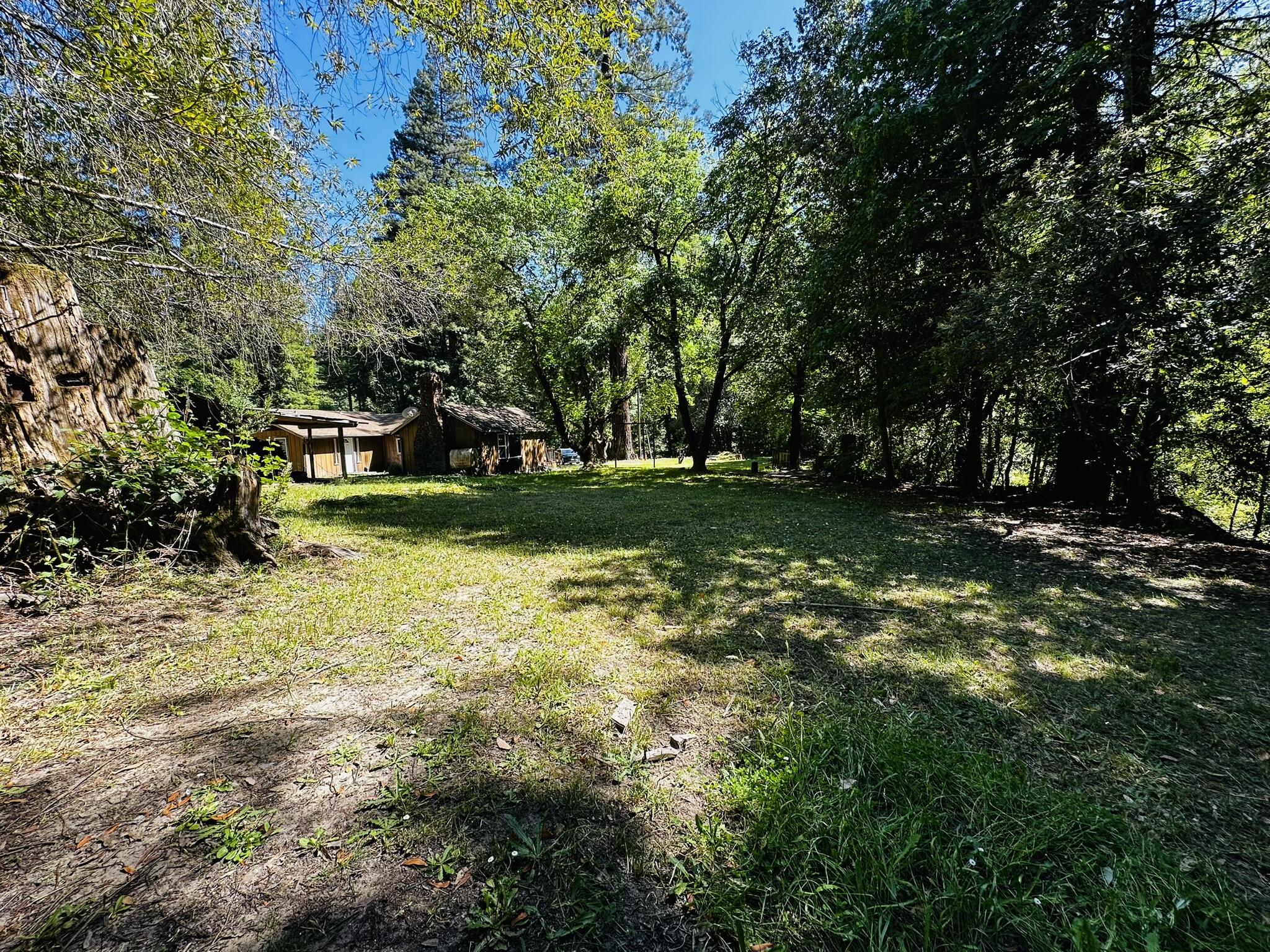 2675 Briceland Road Redway, CA 95560 - Photo 100 of 113 IMG_1322