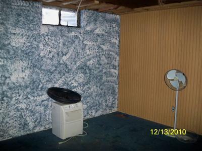 448 Buck Road Coldwater, MI 49036 - Photo 16 of 19 Additional Photo