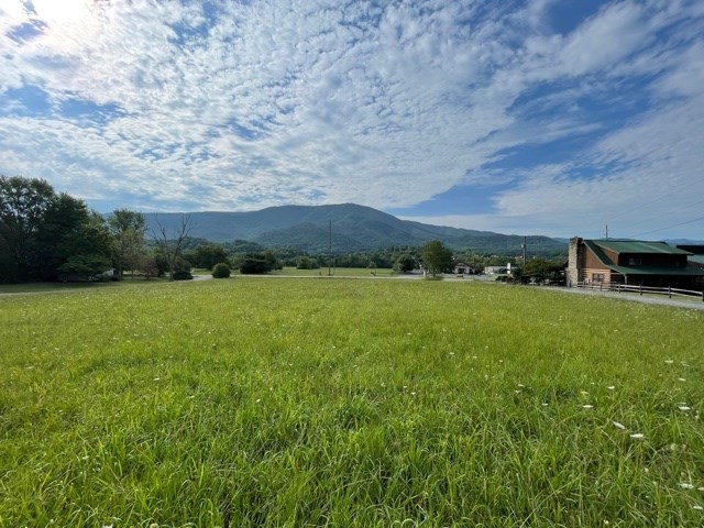 7 Wears Valley Road Sevierville, TN 37862 - Photo 5 of 13